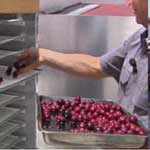 Dehydrator